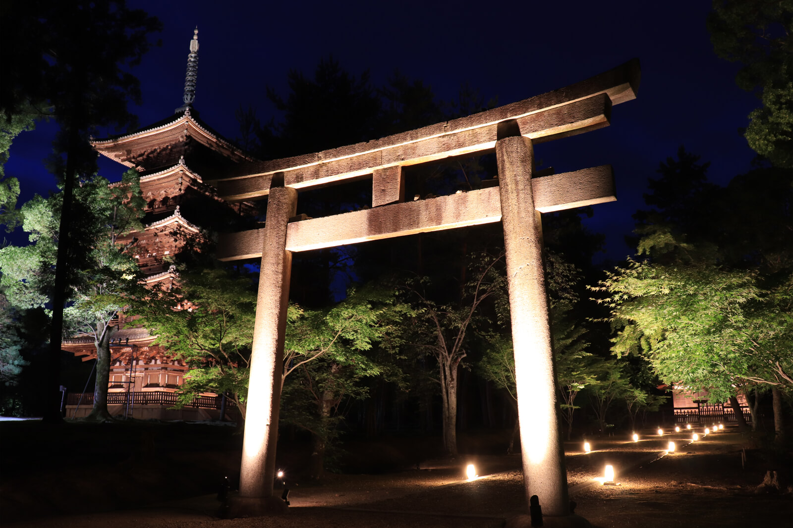 仁和寺ライトアップ フリー写真素材のふくなな