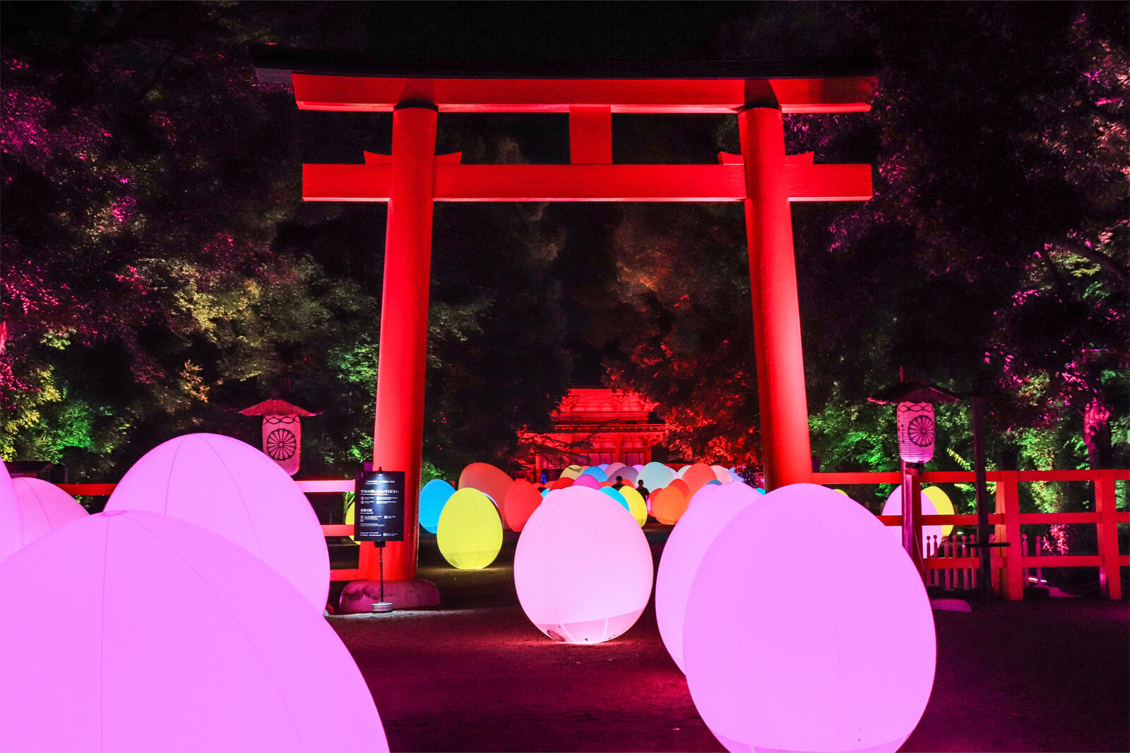 下鴨神社 糺の森の光の祭り フリー写真素材のふくなな