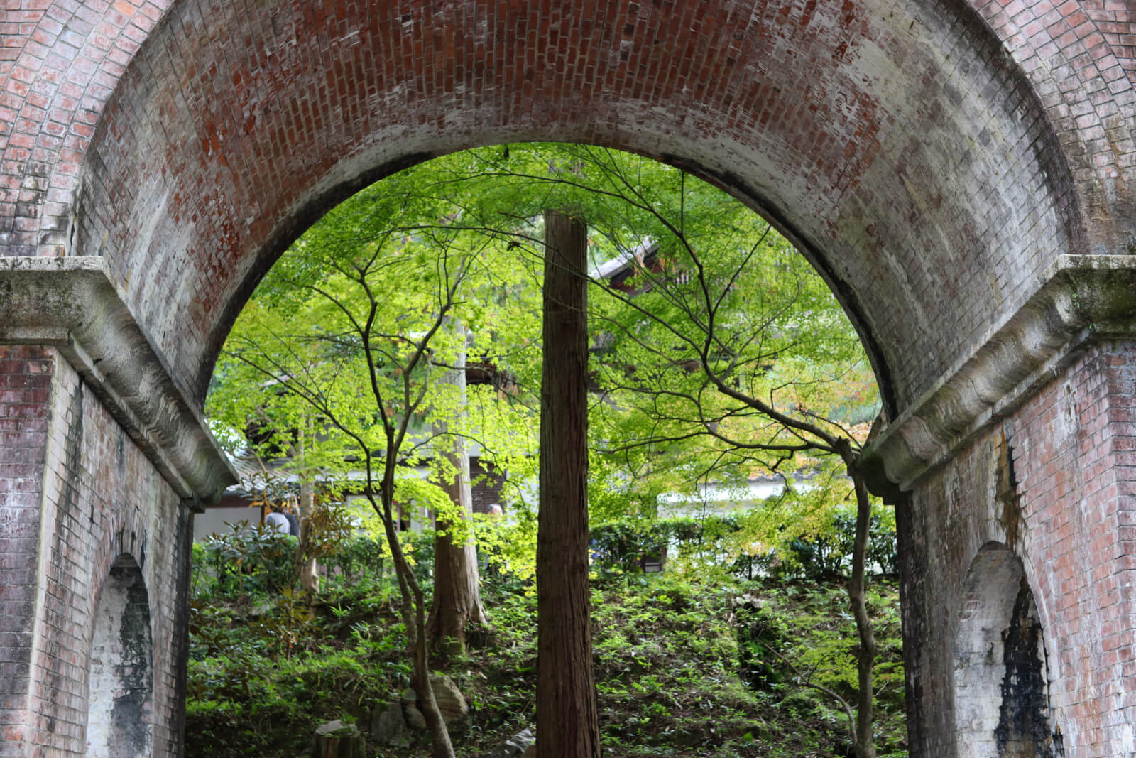南禅寺水路閣のアーチから見える木々