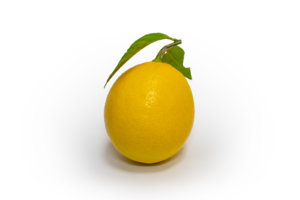 無農薬レモン1個（枝葉付き）