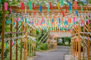 夏のフリー素材一覧 フリー写真素材のふくなな