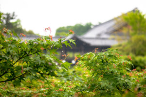 フリー写真素材 ふくなな 神社 寺 和小物など日本の写真素材がたくさん